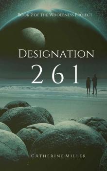 Designation 261 (The Wholeness Project)