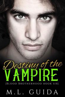 Destiny of the Vampire: A Vampire Romance (Blood Brotherhood Book 6)