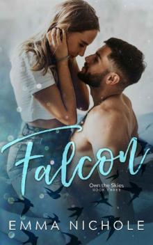 Falcon (Own the Skies Book 3)