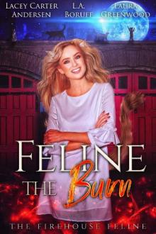 Feline the Burn (The Firehouse Feline Book 3)