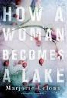 How a Woman Becomes a Lake (ARC)