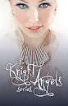 Knight Angels: Book of Revenge