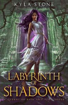 Labyrinth of Shadows