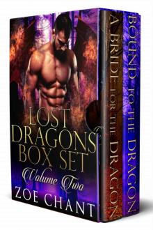 Lost Dragons Box Set Volume Two