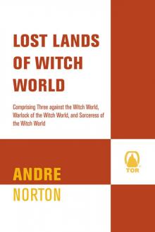 Lost Lands of Witch World