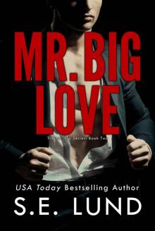 Mr. Big Love: The Mr. Big Series: Book Two