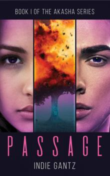 Passage (Akasha Book 1)