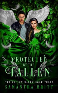 Protected by the Fallen: A Fallen Angel Reverse Harem Novel (The Fallen Harem Book 3)