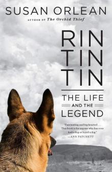 Rin Tin Tin