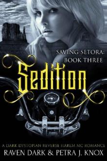 Sedition