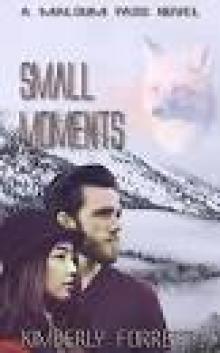 Small Moments: A Malsum Pass Novel