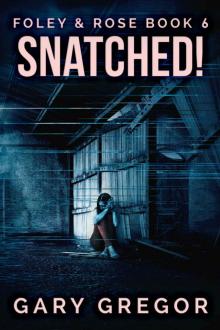 Snatched! (Foley & Rose Book 6)