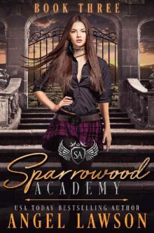 Sparrowood Academy (Book 3): Bully Romance