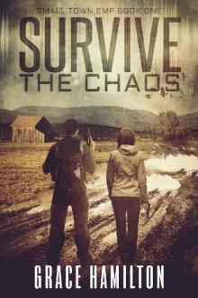 Survive the Chaos (Small Town EMP Book 1)