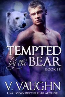 Tempted by the Bear - Book 3