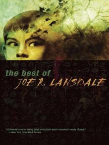 The Best of Joe R. Lansdale