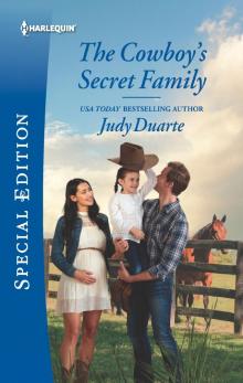 The Cowboy's Secret Family