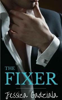 The Fixer