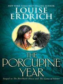 The Porcupine Year