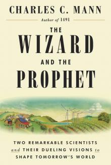 The Wizard and the Prophet2