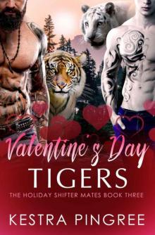 Valentine's Day Tigers (The Holiday Shifter Mates Book 3)