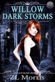 Willow Dark Storm