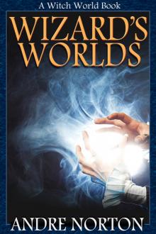 Wizards’ Worlds