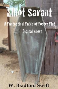 Elliot Savant: A Free Fantastical Fable of Foster Flat Digital Short