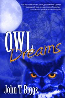 Owl Dreams