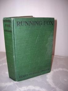 Running Fox