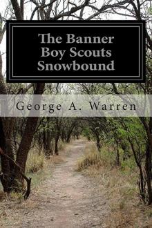 Banner Boy Scouts Snowbound