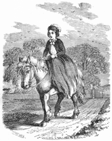 Minnie's Pet Horse