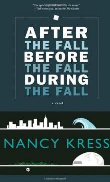 After the Fall, Before the Fall, During the Fall: A Novel