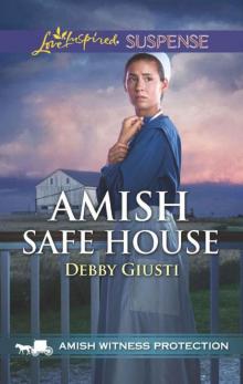 Amish Safe House (Amish Witness Protection Book 2)