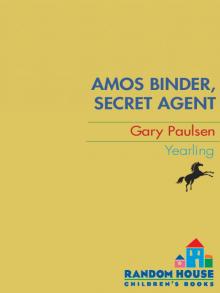 Amos Binder, Secret Agent