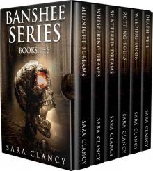 Banshee Box Set