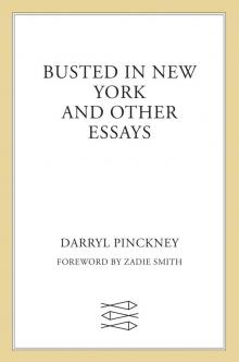 Busted in New York and Other Essays