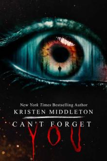 Can't Forget You (Psychological Suspense Thriller) Summit Lake Series