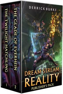 Dream Stream Reality: Publisher's Pack Books 1-2: (A LitRPG Adventure)