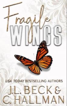 Fragile Wings: Broken Beginnings Prequel