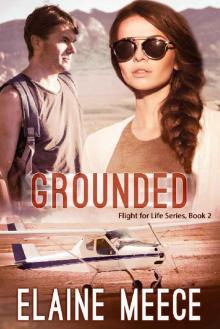 Grounded (Flight for Life Book 2)