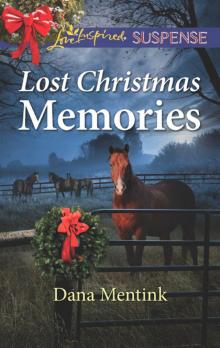 Lost Christmas Memories