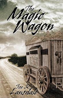 Magic Wagon