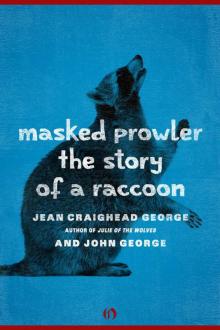 Masked Prowler: The Story of a Raccoon