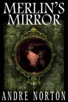 Merlin's Mirror