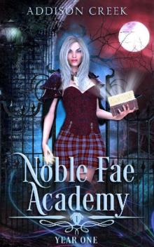 Noble Fae Academy: Year One