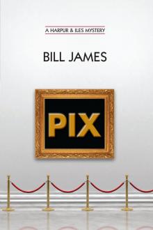 Pix (Volume Book 24) (Harpur & Iles Mysteries)