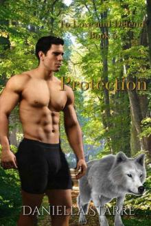 Protection (To Love And Defend Book 5)