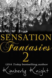 Sensation Fantasies 2