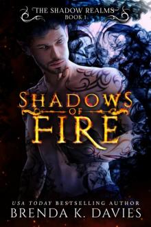 Shadows of Fire (The Shadow Realms, Book 1)